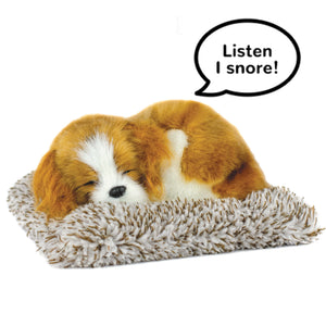 Cavalier King Charles - Mini Perfect Petzzz