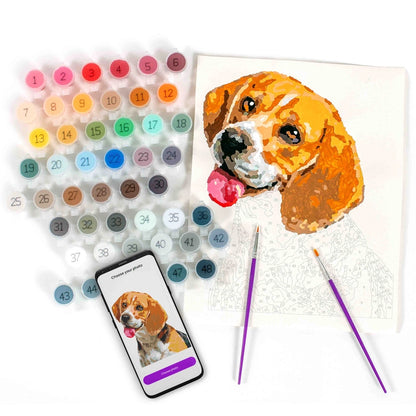Paint Your Photo By Number - Pets Edition