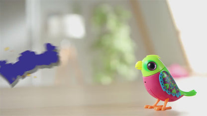 Digibird Single Pack