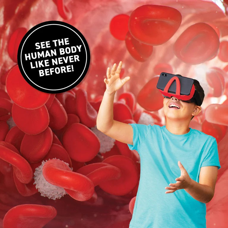 VR Human Body